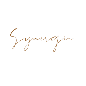 Synergia – program mentoringowo – szkoleniowy